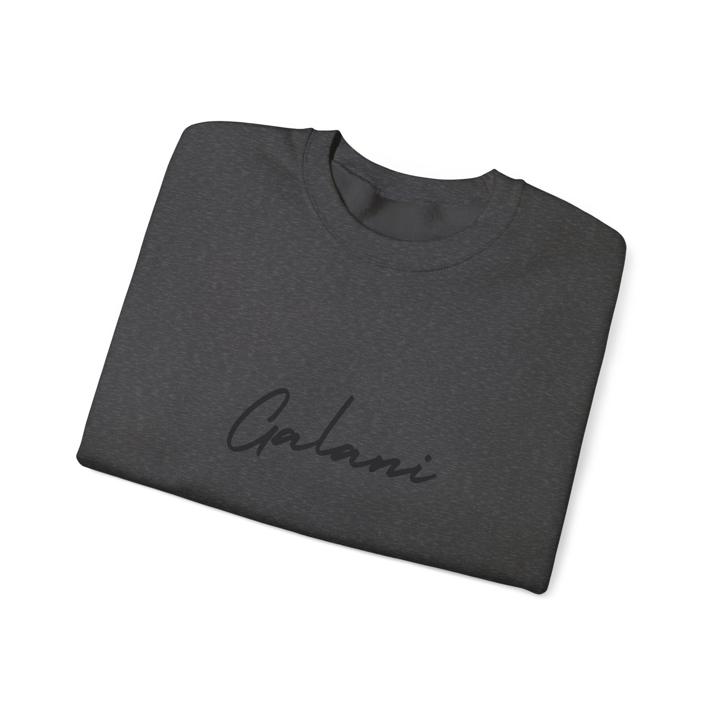 Galani Heavy Crewneck Sweatshirt