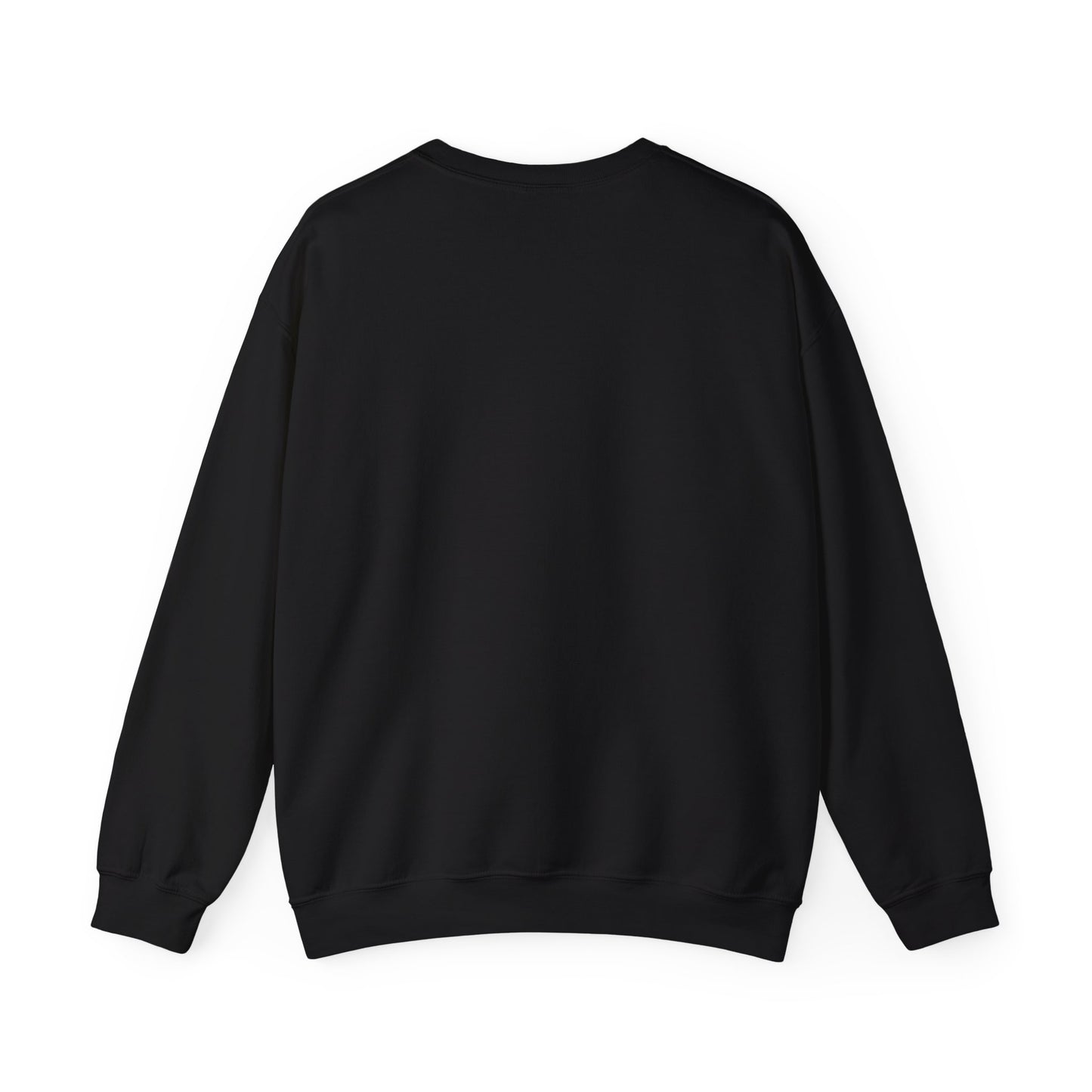 Galani Heavy Crewneck Sweatshirt