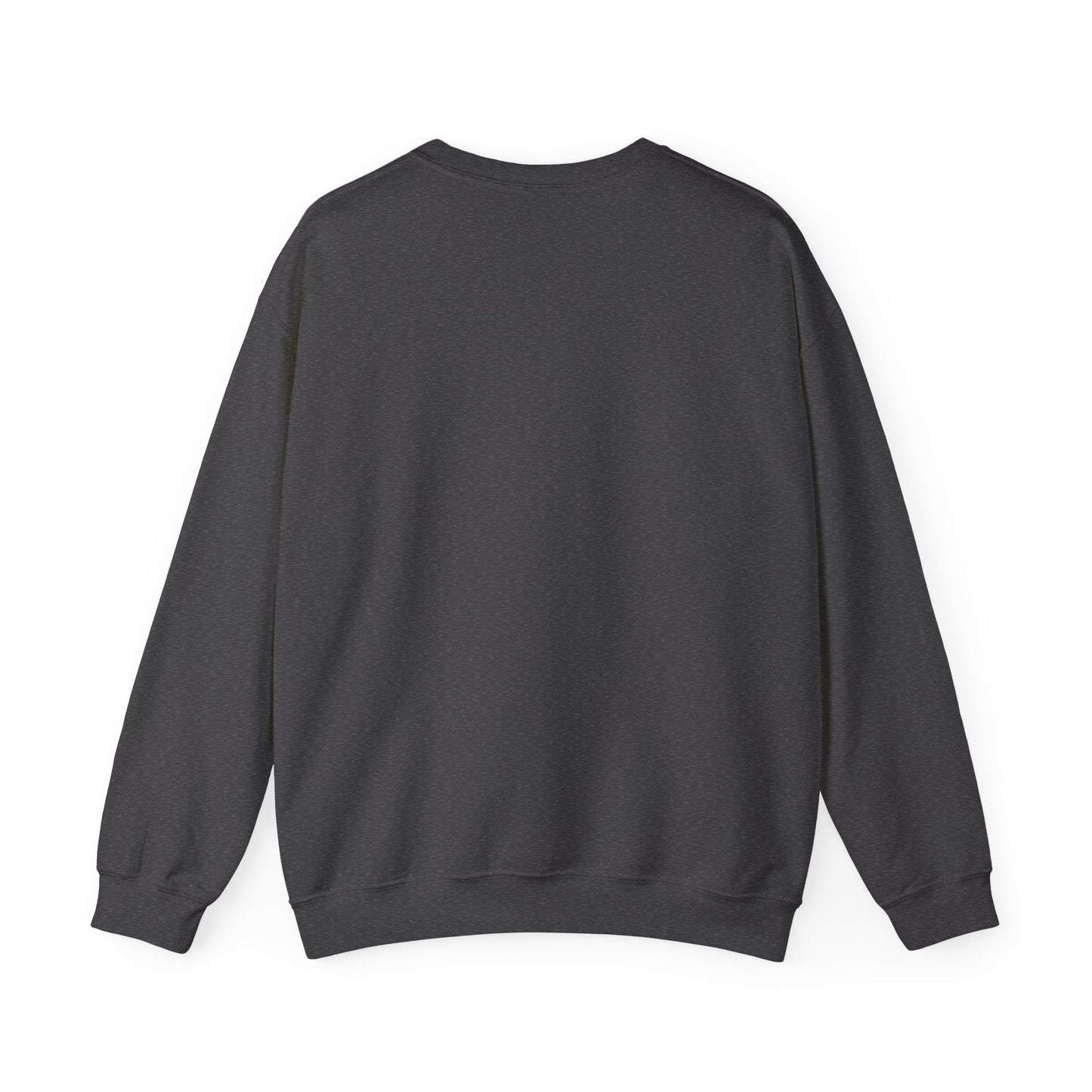 Galani Heavy Crewneck Sweatshirt