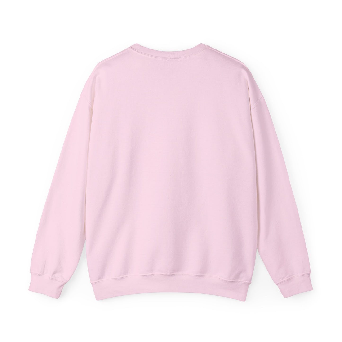 Galani Heavy Crewneck Sweatshirt