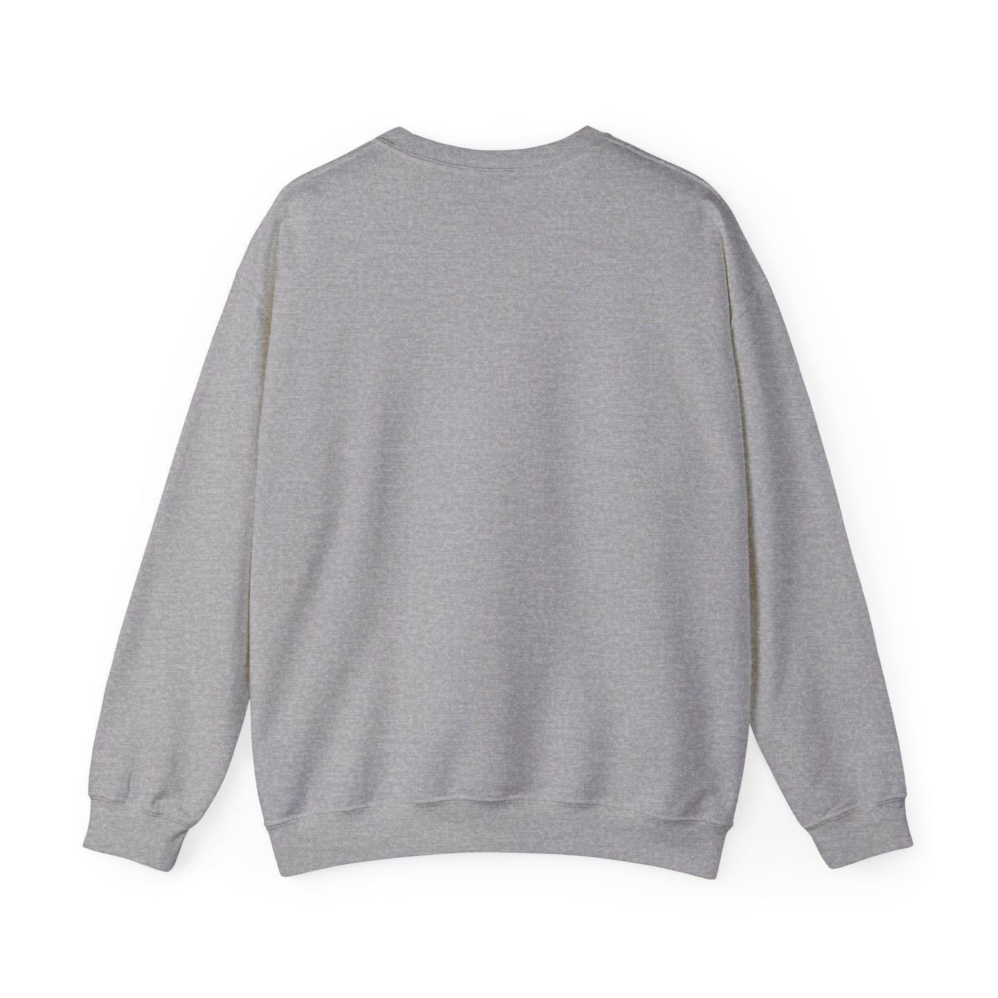Galani Heavy Crewneck Sweatshirt