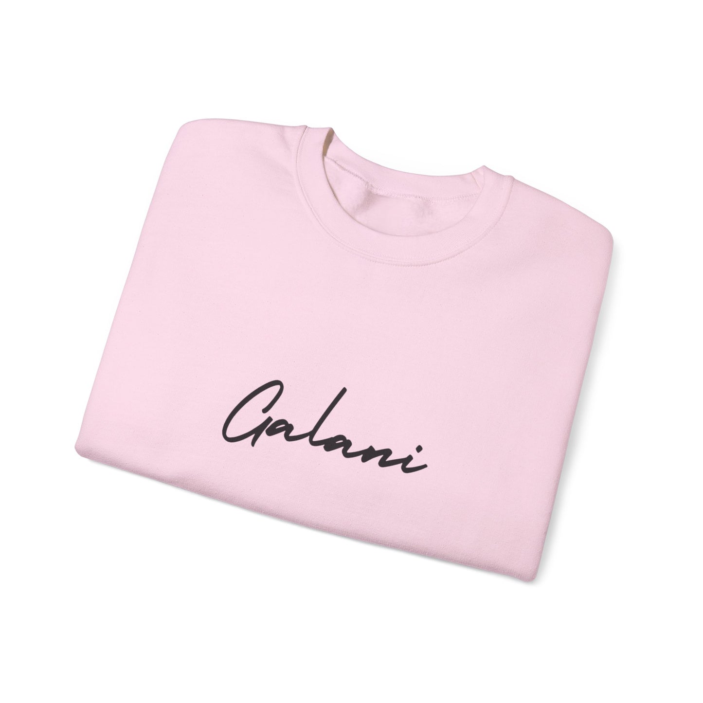 Galani Heavy Crewneck Sweatshirt