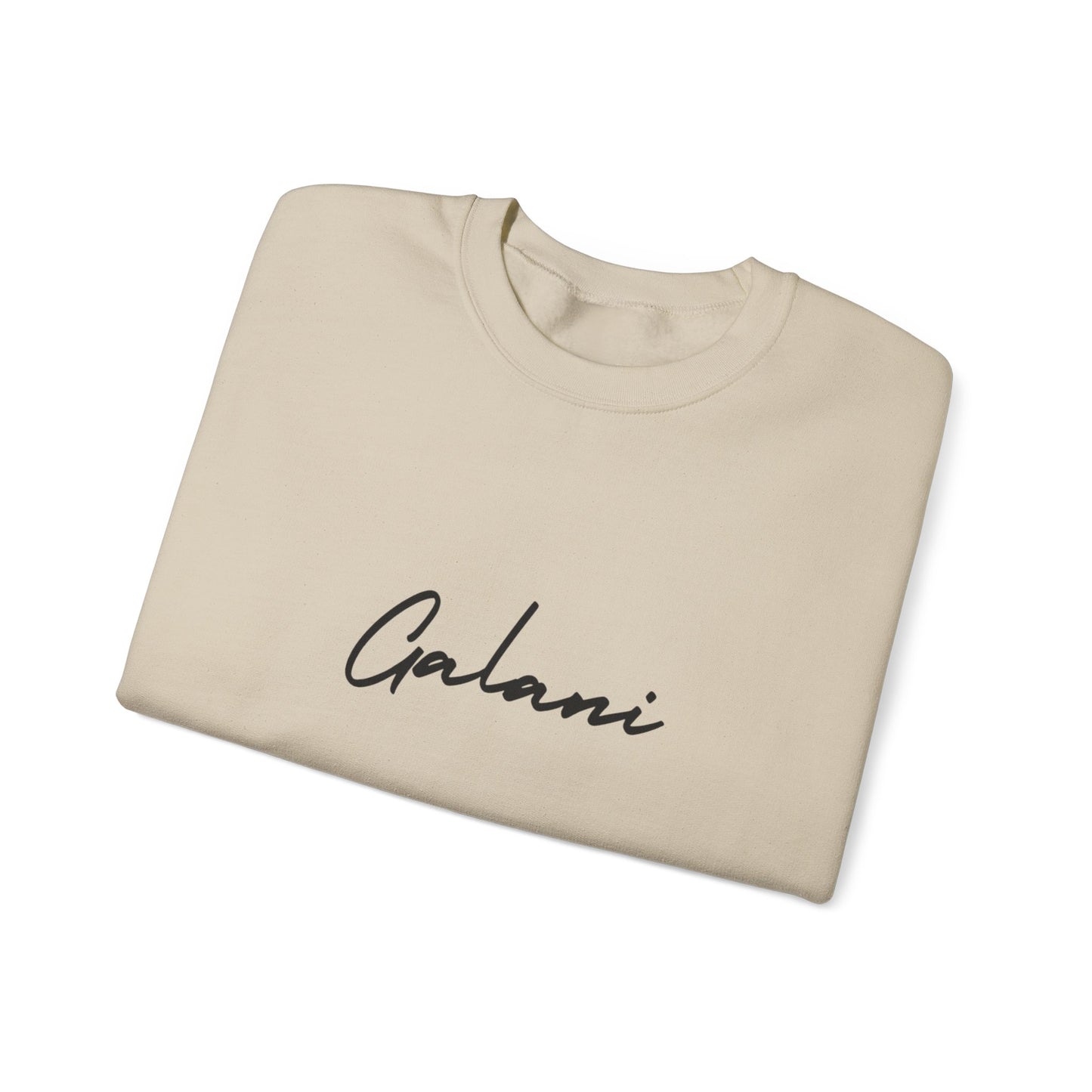 Galani Heavy Crewneck Sweatshirt